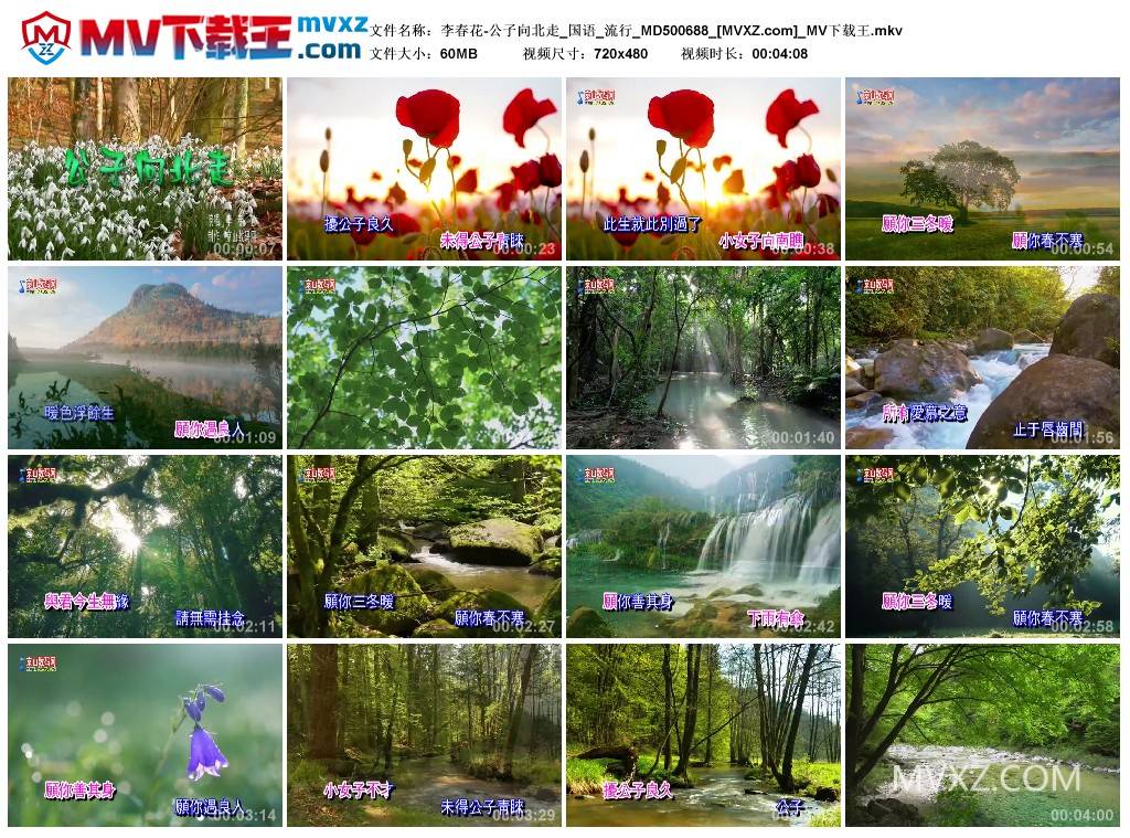 李春花-公子向北走_国语_流行_MD500688